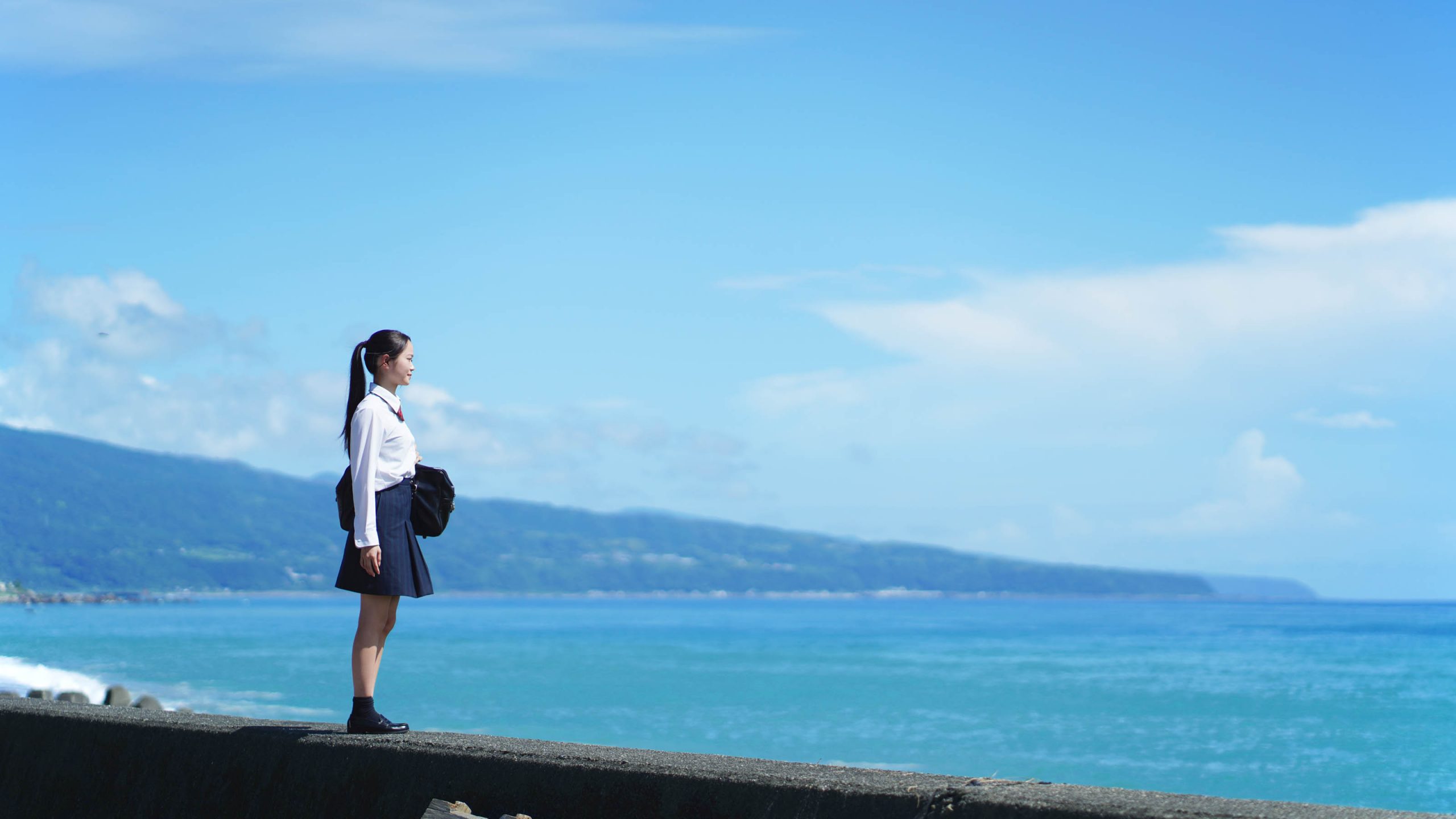 わたしの故里 安田町
