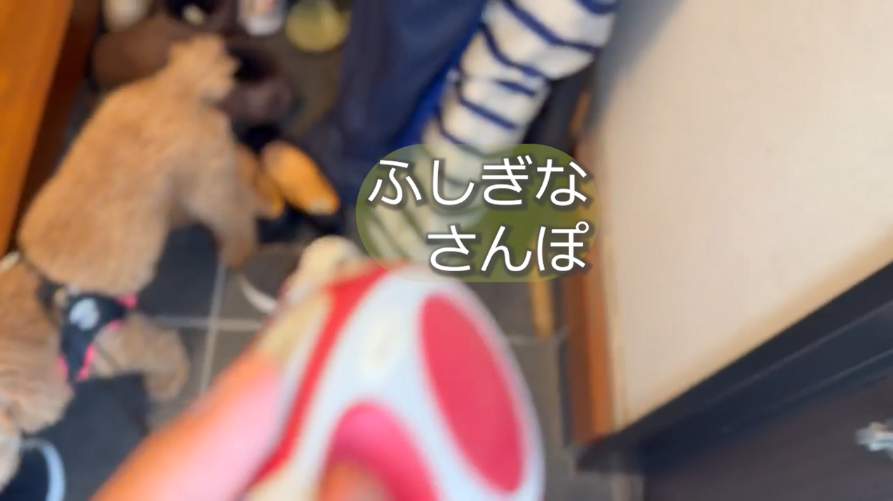 ふしぎなさんぽ